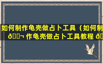 如何制作龟壳做占卜工具（如何制 🐬 作龟壳做占卜工具教程 🐳 ）